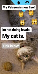 Yes, cat lewds.