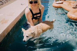 MonsterBeachParty-2906