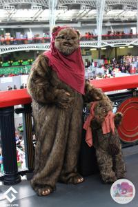 Ewok LFCC