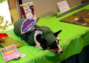 Kiba The Cosplay Corgi