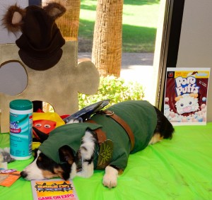 Kiba The Cosplay Corgi